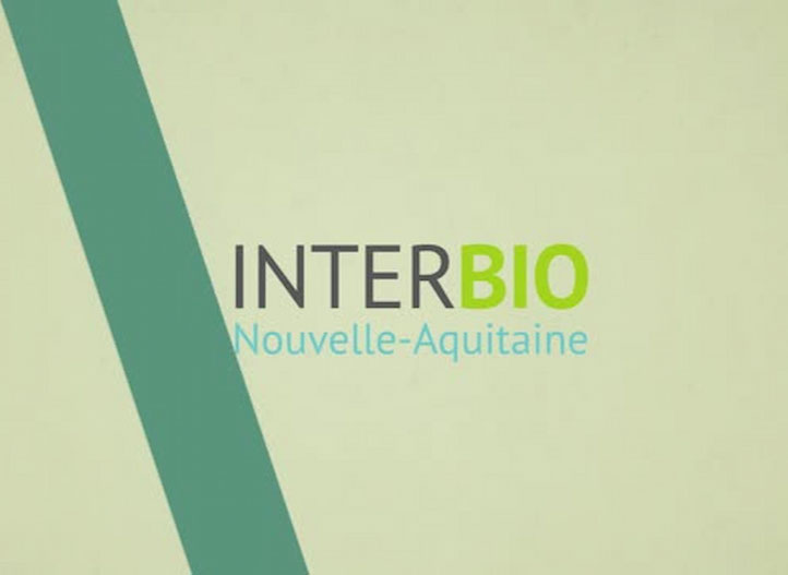 Interbio – Audit numérique